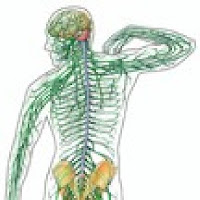 Enfermedad del cerebro y la médula espinal